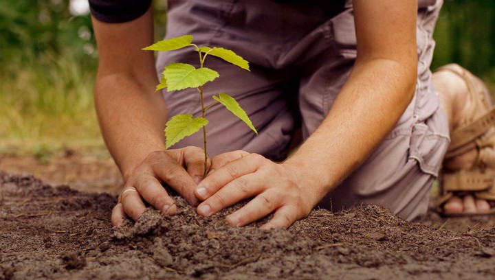 .