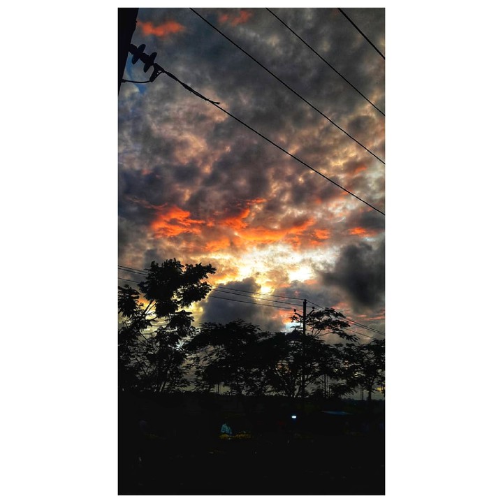 Burning Orange !!!