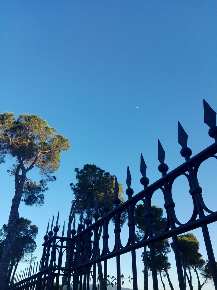 Sky