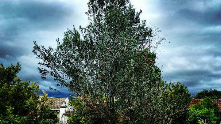 Tempestade