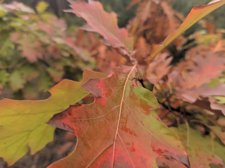 #Україна #осінь #autumn