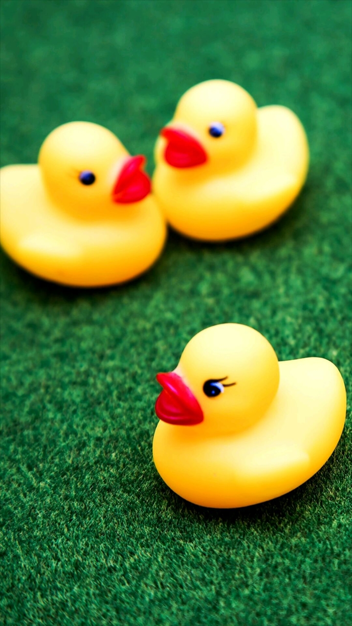 Cute Duck Toy