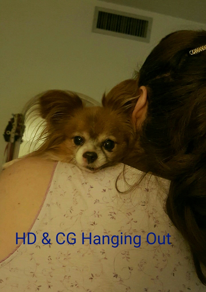 HD &CG just hanging out together