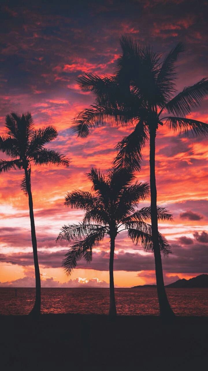 Paisagem