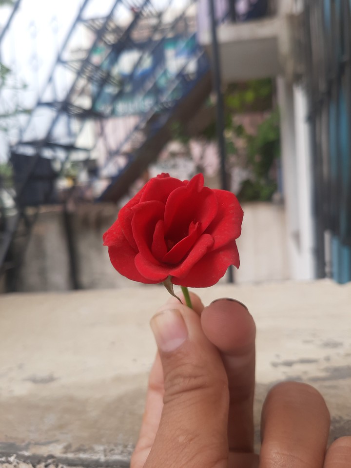 love