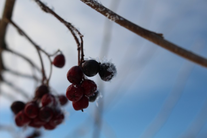 Winter
