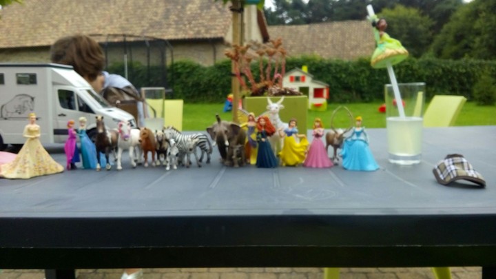 animals