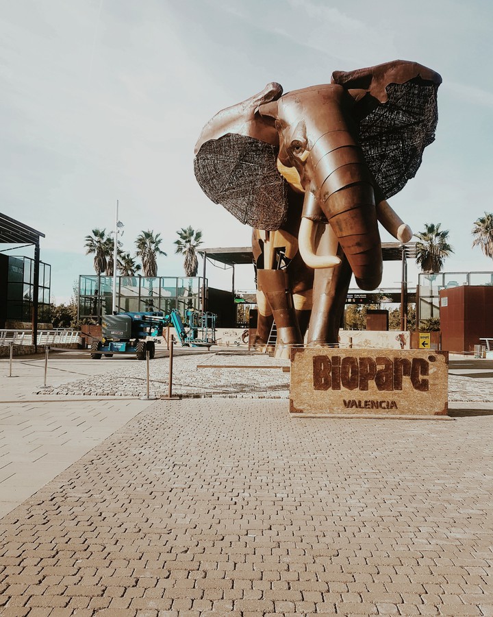 bioparco