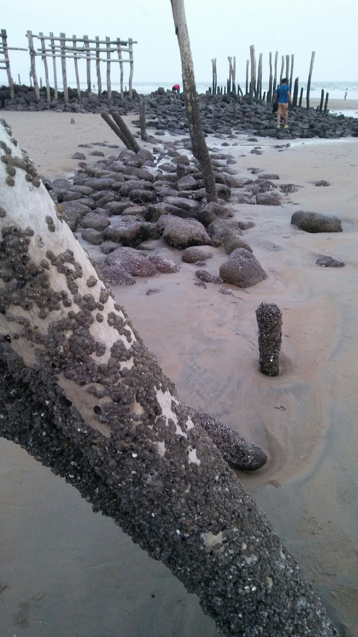 sEa beach
