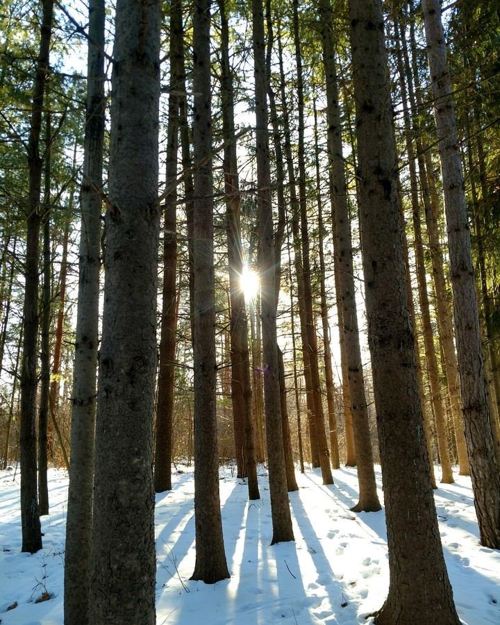 Good Morning From Michigan