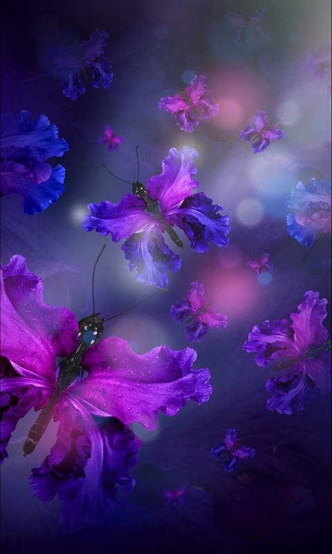 flowers
