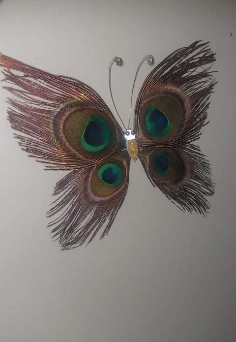 peacock feather butterfly