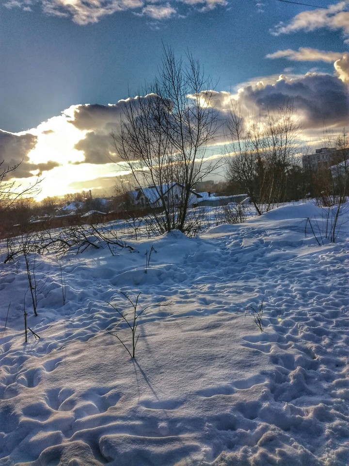 Winter