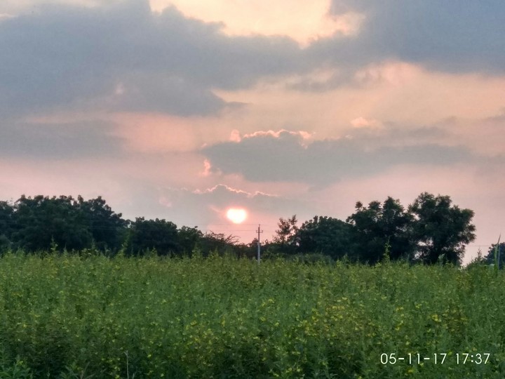 sunset