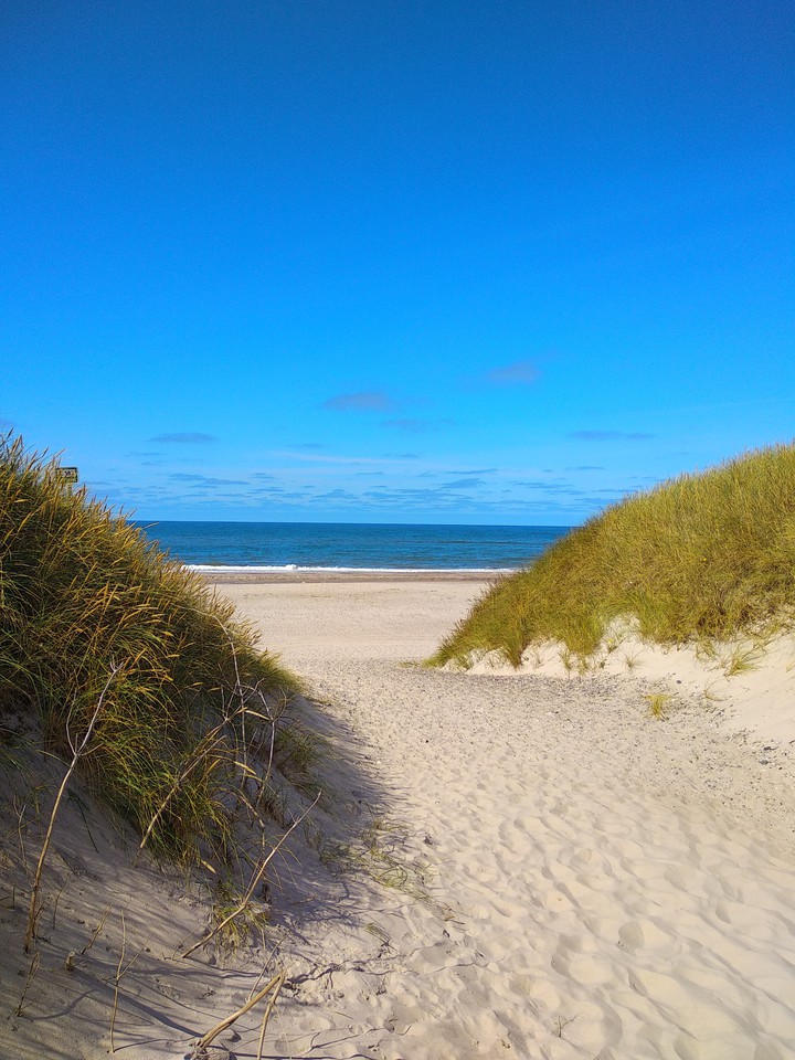 Meer