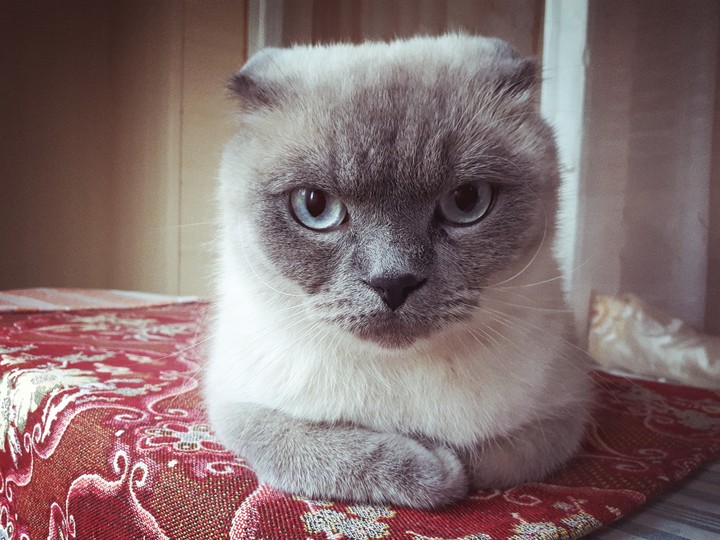 Serious look