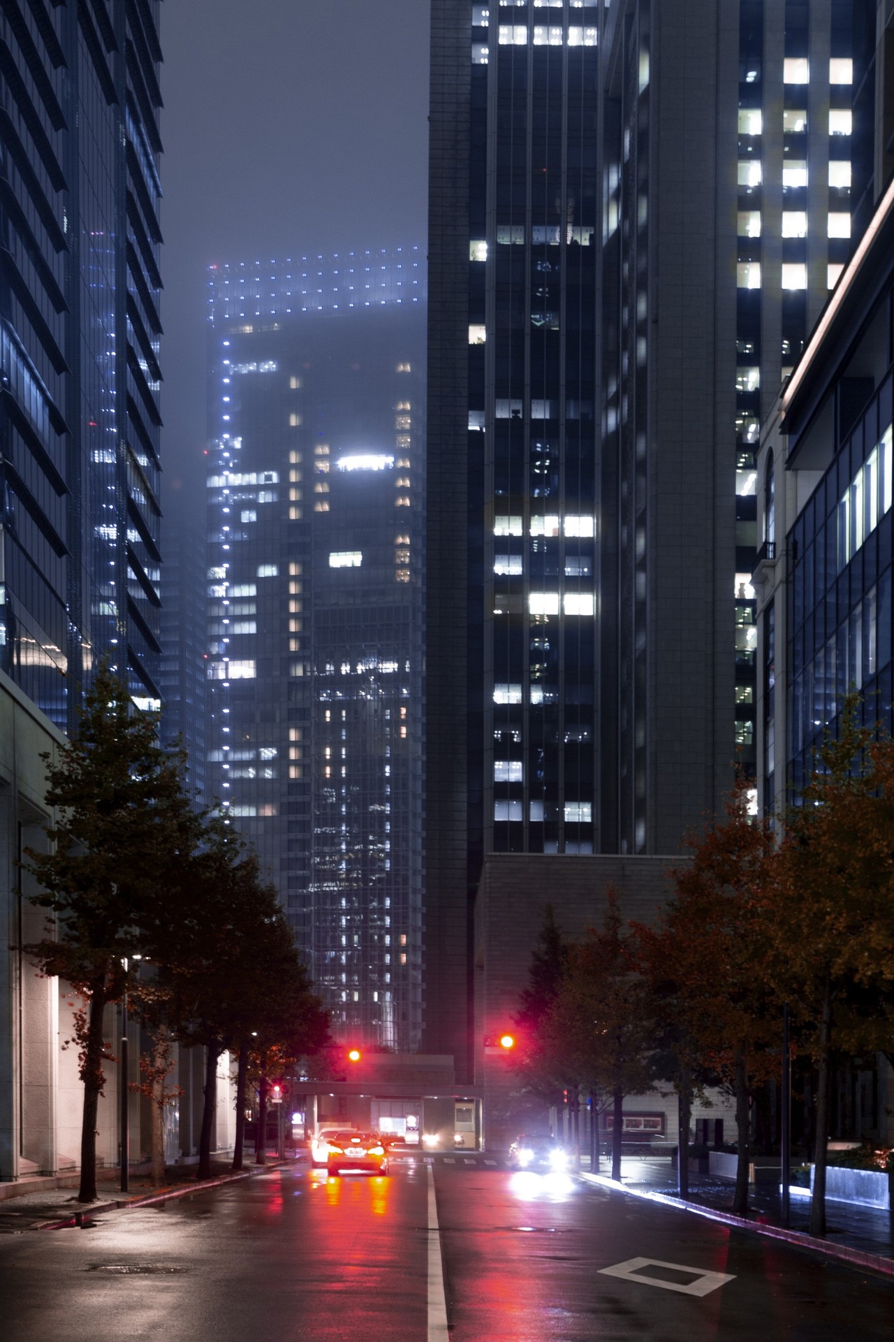 шпалери city, condominium