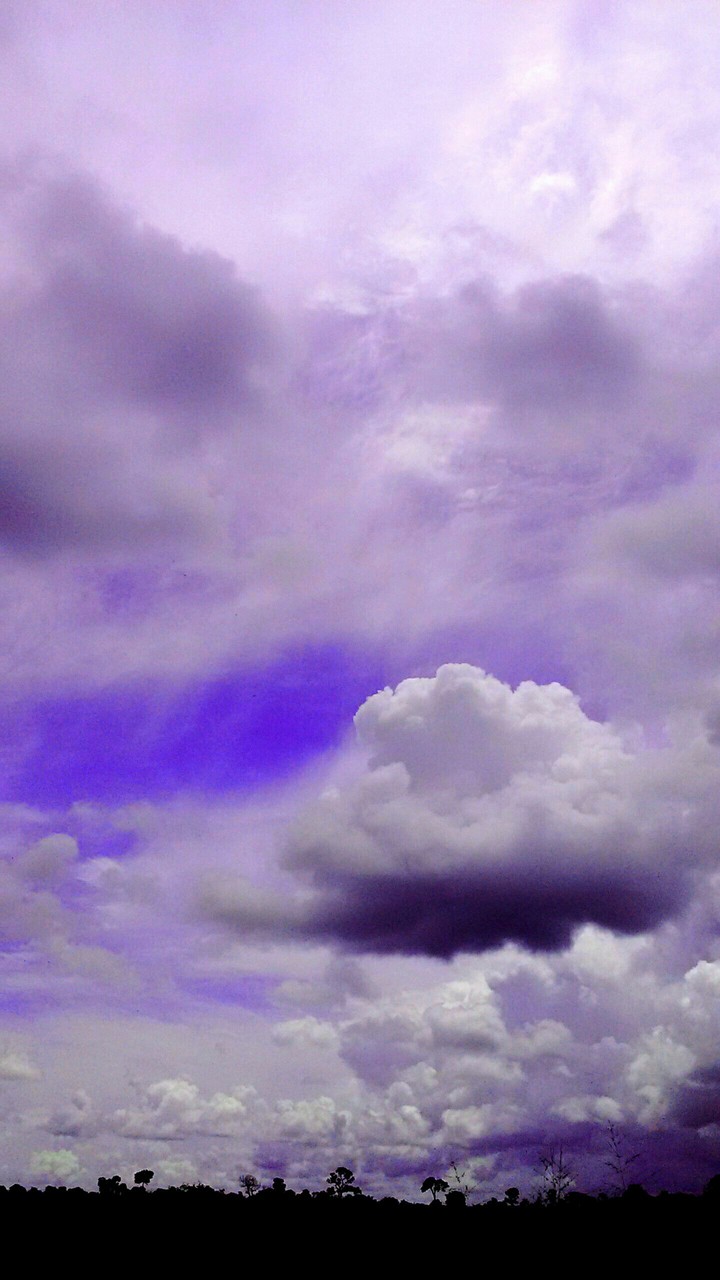 hs