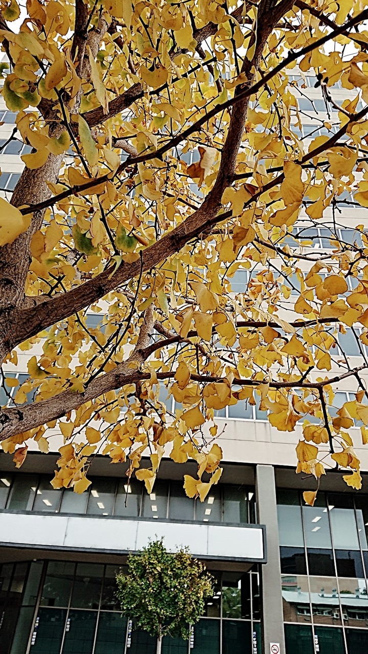 Autumn, Australia