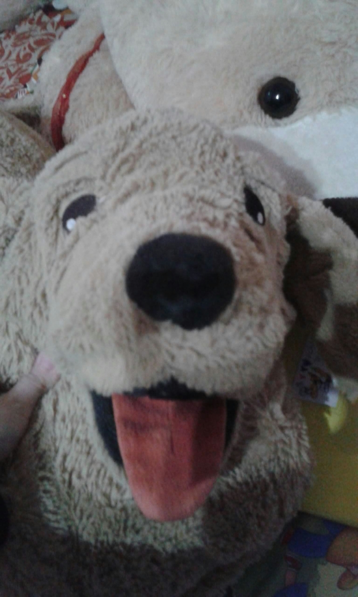 cane