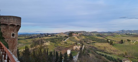 ταπετσαρίες plant, landscapes