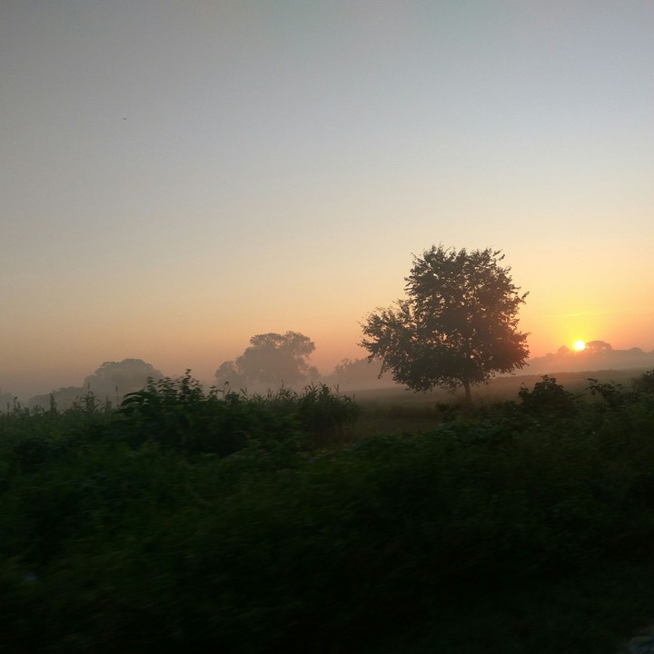 nature