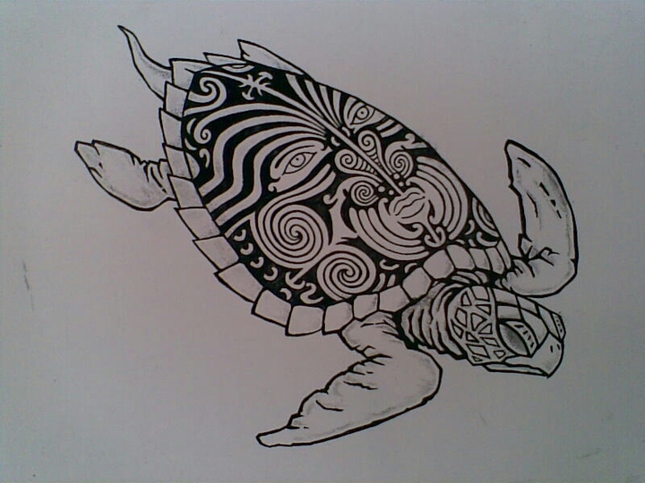 Tortuga