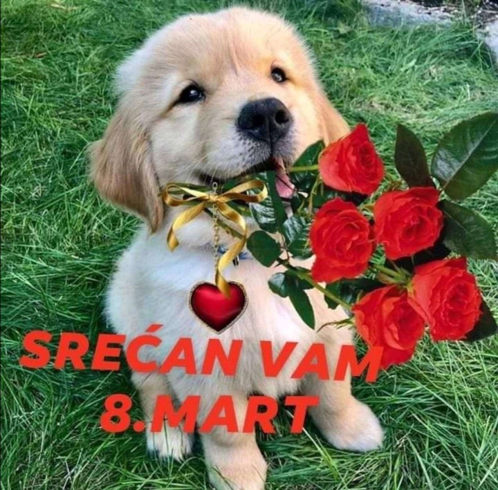 International women's day