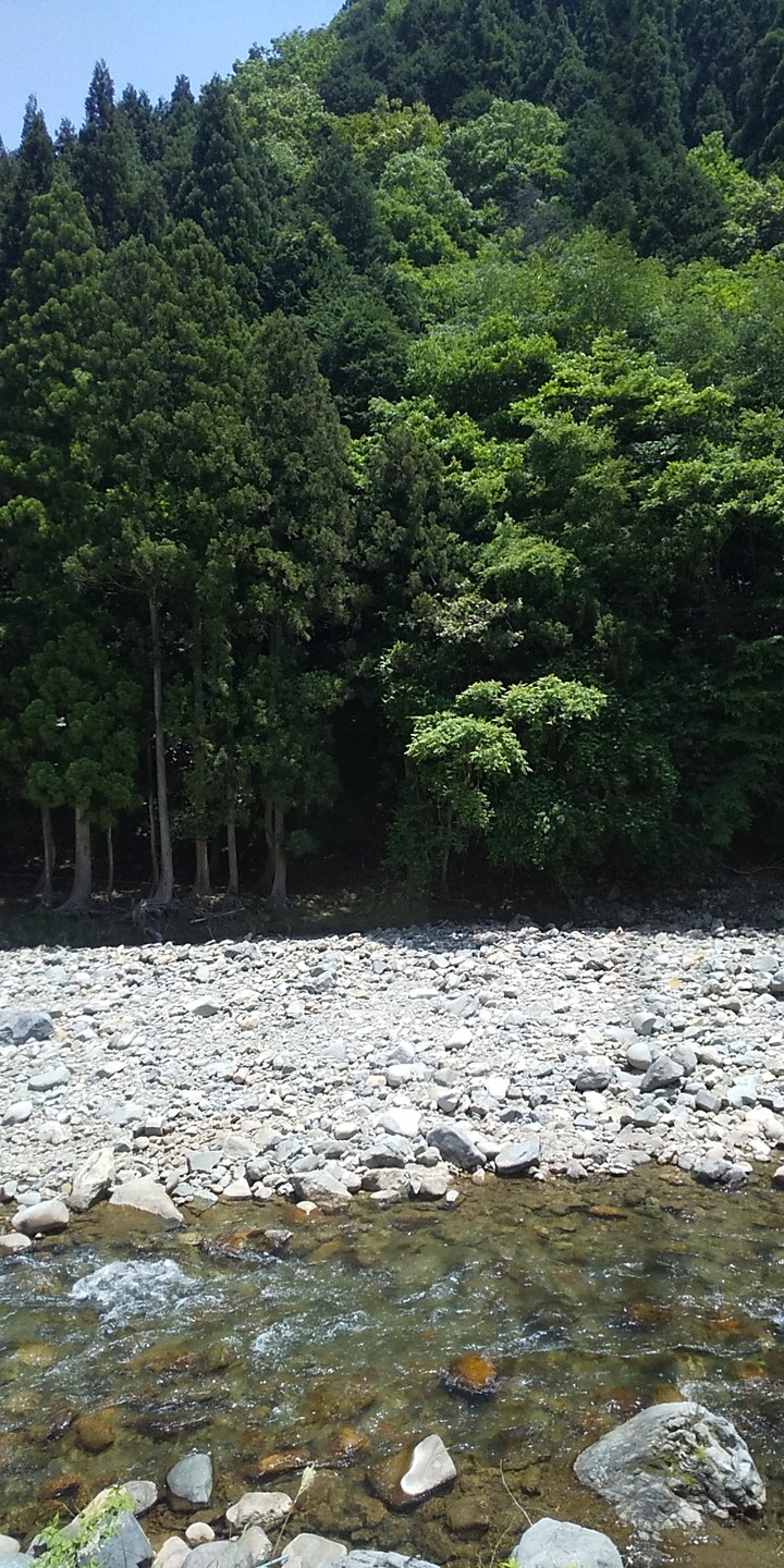 気持ちのよい自然
