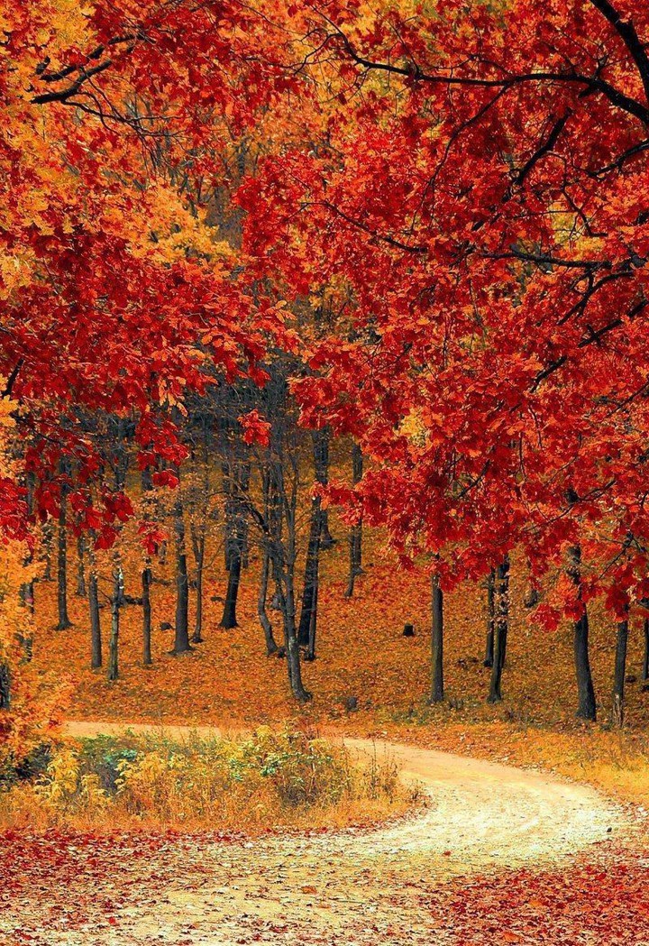 Autumn