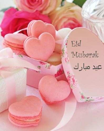 Macaroons love