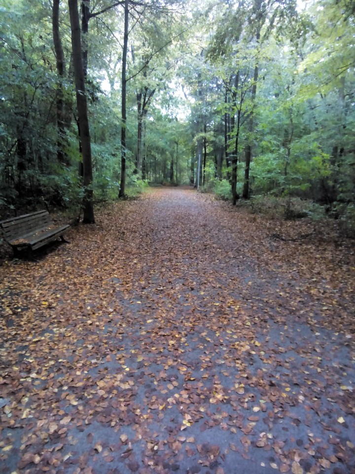 Herbst