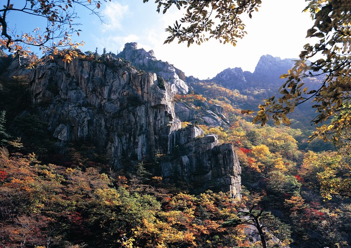풍경