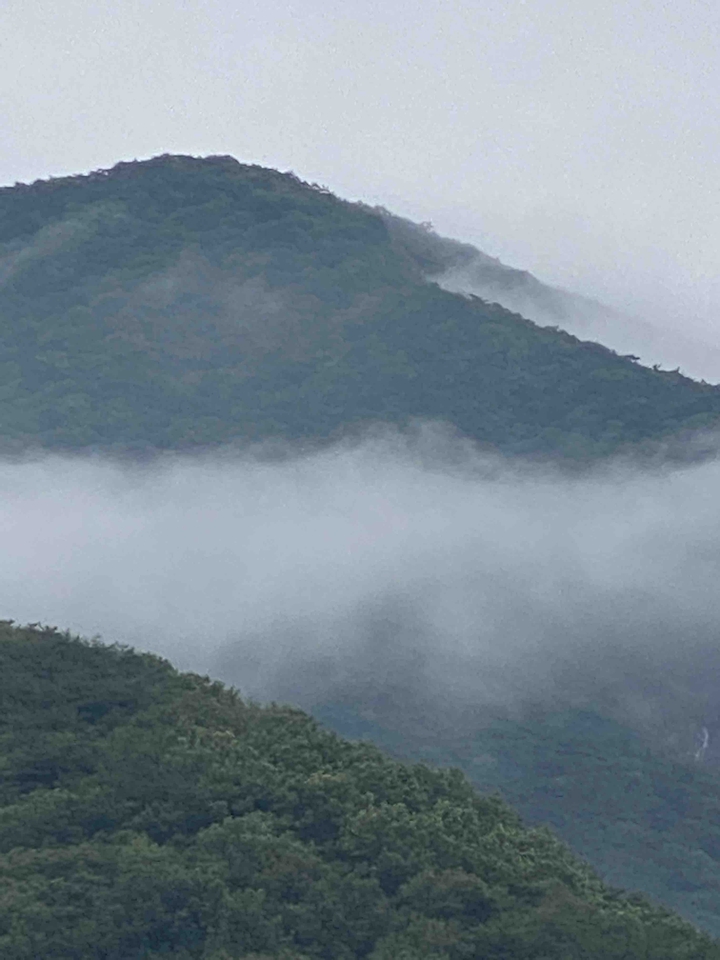 비오는 산의 운무