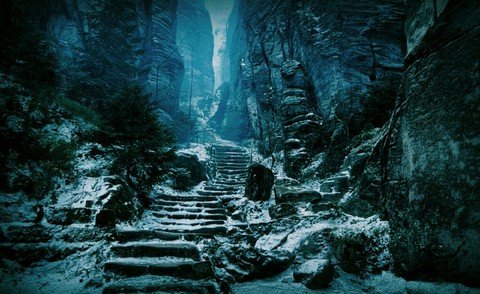 snowy trail