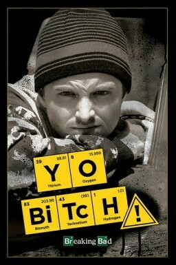 you hear me bitch?