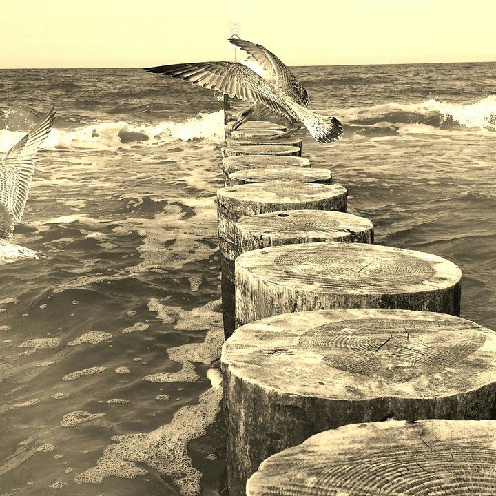 sea