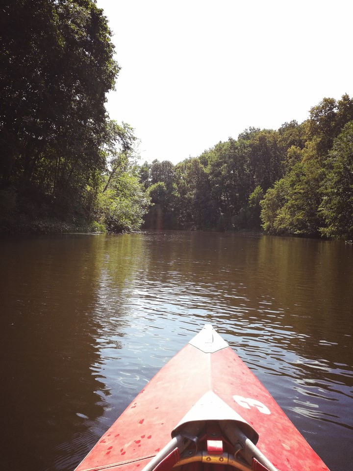 our trip