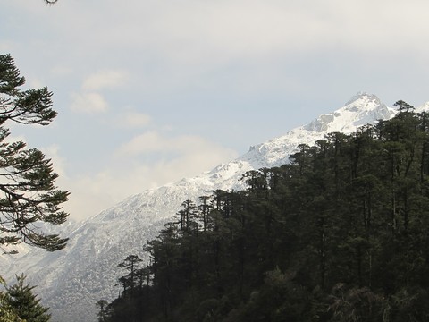 beauty of nature
