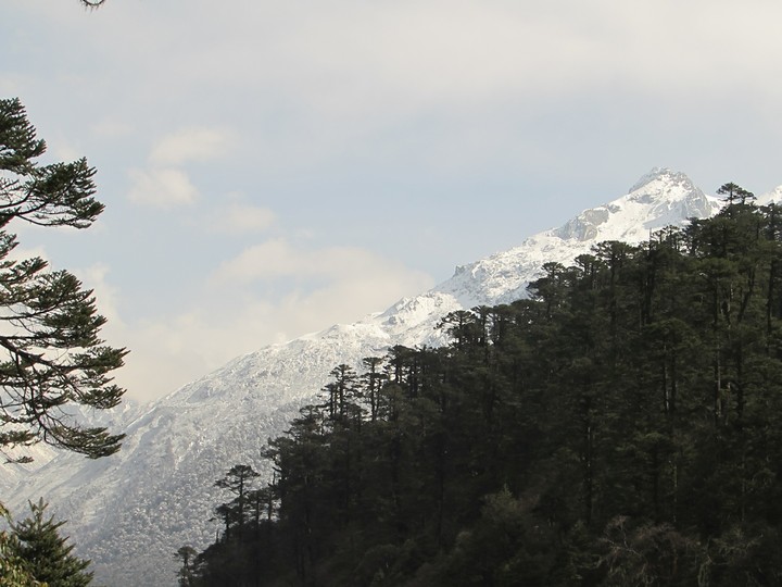 beauty of nature
