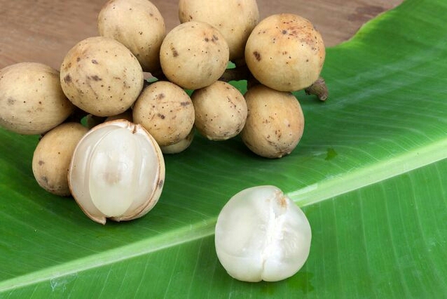 fruit