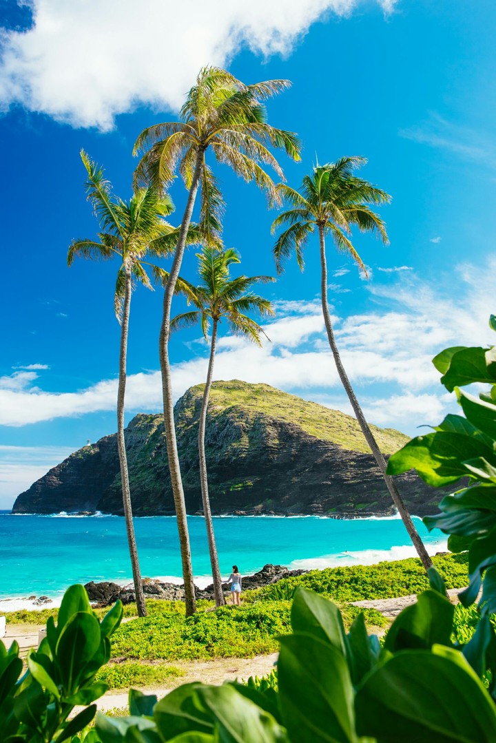 Hawaian island