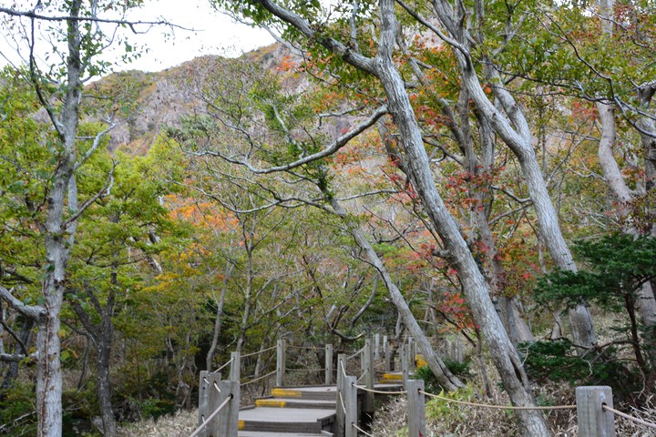 한라산이미지