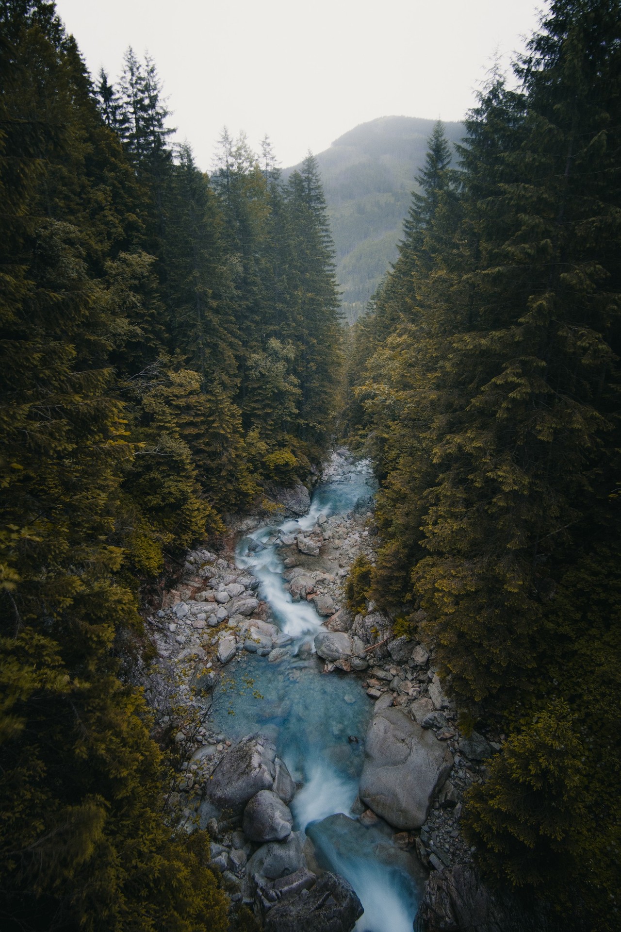 шпалери highland, Wilderness