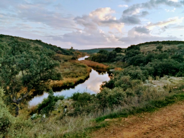 The River
