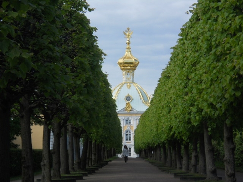 тапети finial, Dome