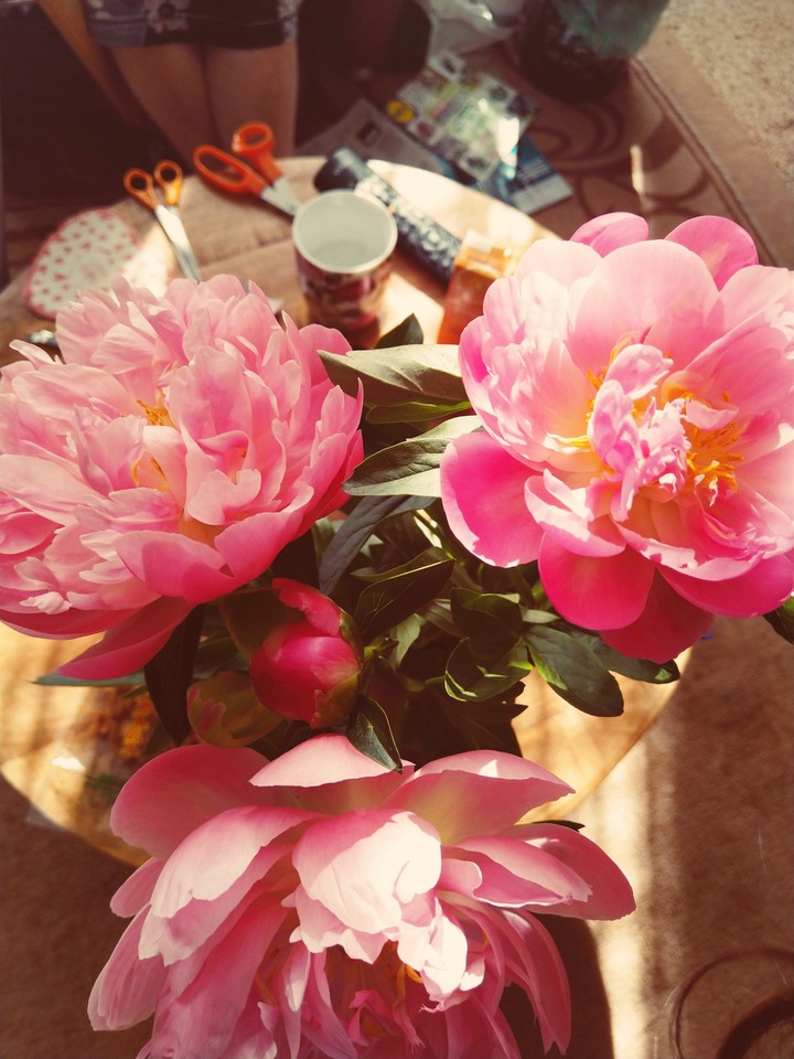 pretty pink flowers at Nana's ❤️
