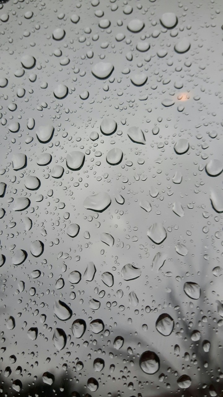 raindrops