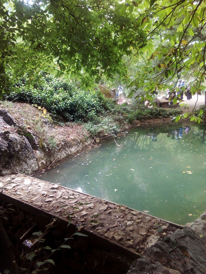 fish_pond