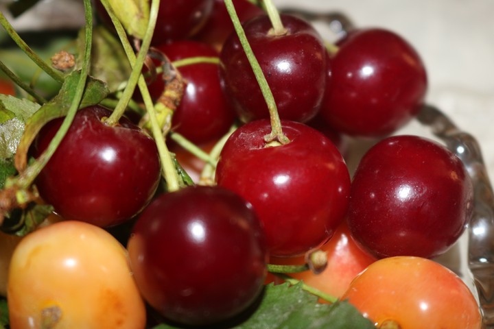 back cherry